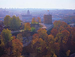 8psl.jpg (28062 bytes)